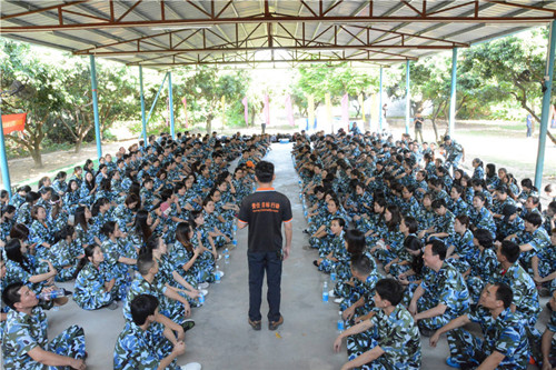 金馬爭霸，學院席地而坐